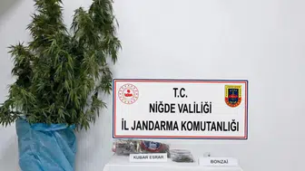 Niğde'de 278 gram uyuşturucu ele geçirildi