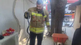 Antakya'da eve giren yılan itfaiye ekiplerince yakalanarak doğaya bırakıldı