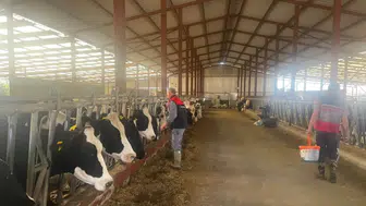 Baklan İlçe Tarım ve Orman Müdürlüğü'nden şap aşısı hamlesi