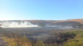 Balıkesir Manyas'ta ot yangını