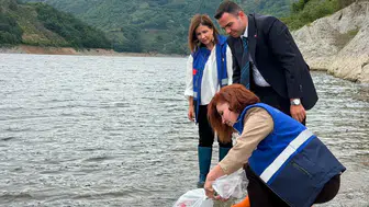 Samsun’da baraj gölüne 250 bin yavru sazan bırakıldı