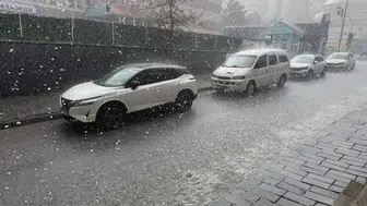 Bitlis'te sağanak ve ceviz büyüklüğünde dolu etkili oldu
