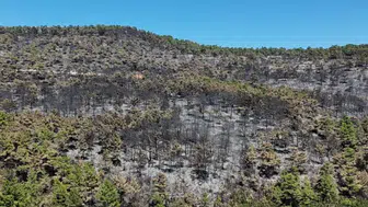 Muğla'da 150 hektar alan yandı