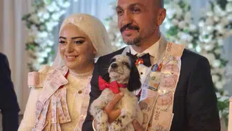 Trabzon'da düğünde altın yerine av köpeği taktılar