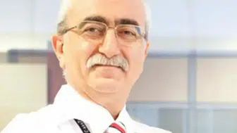Prof. Dr. Bingür Sönmez kimdir ve hangi önemli çalışmalara imza atmıştır?