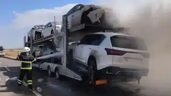 Ağrı'da otomobil yüklü tır alev alev yandı