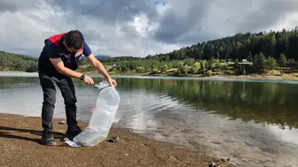 Kastamonu'da balıklandırma çalışması : 800 bin sazan yavrusu göletlere bırakıldı