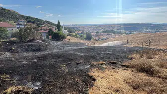 Bilecik Bozüyük'te otluk alanda yangın