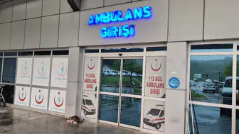 Zonguldak'ta ağaçtan düşen kişi ve merdiveni tutan komşusu yaralandı