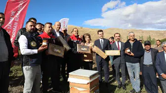 Iğdır'da kayısı çiçeği balı hasadı başladı