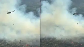 Aydın Çine'de orman yangını : Havadan ve karadan müdahale başlatıldı