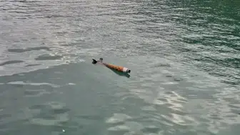 Artvin Hopa'da deniz yüzeyinde roket benzeri cisim görüldü