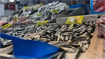 Trabzon'da balık tezgahlarında hangi ürün öne çıkıyor ve fiyatları nedir ?