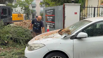 Maltepe'de kesilen ağaç park halindeki iki aracın üzerine devrildi