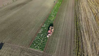 Yozgat'ta 6 aylık emeğin karşılığı topraktan çıktı