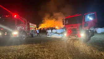 Karabük'te 3 bin balya ot yanarak küle döndü
