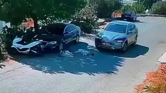 Bodrum’da tepki çeken olay : Otomobil iki köpeğin üzerinden geçti