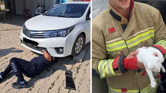 Hatay'da araç motoruna giren 2 kedi itfaiye ekiplerince kurtarıldı