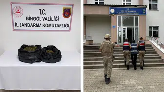 19 bin 314 kök kenevir ele geçirildi