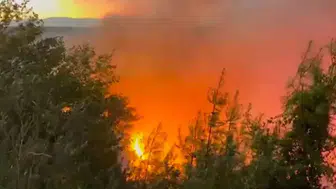 Adana Kozan'da 2 mahallede orman yangını