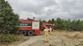 Arnavutköy'de ormanlık alanda yangın