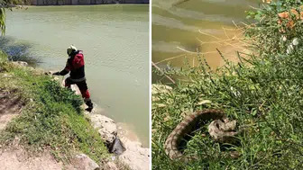 Reyhanlı’da göl kenarında yılan paniği : Ekipler harekete geçti
