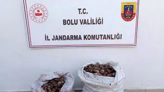Bolu'da izinsiz salyangoz toplayan 2 kişiye cezai işlem : 60 kilo salyangoz doğaya bırakıldı