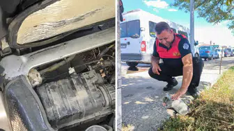 Erzincan’da aracın motorunda mahsur kalan yavru kedi kurtarıldı