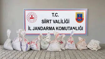 Siirt'te 300 kilo fıstık hırsızlığı