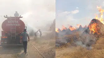 Konya Akşehir'de kamış deposunda yangın