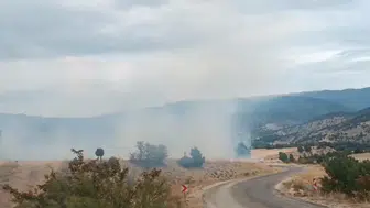 Bolu Seben’de Arazi Yangını :