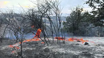 Kırklareli’nde tarım arazisinde çıkan yangın 5 saatte söndürüldü