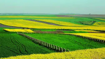 Arsa sahibi olmak isteyenler için İller Bankası'ndan yeni fırsatlar mı geliyor?