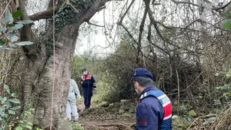 Sakarya Adapazarı'nda çalılıklarda erkek cesedi bulundu