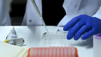 Yasa dışı üreme hücresi ticaretinde 53 şüpheli: Organizasyonun işleyişi ortaya çıktı