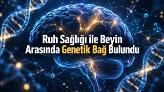 Ruh Sağlığıyla İlişkili Beyin Yapısında 45 Genetik Varyantın Keşfi Neleri Gösteriyor?