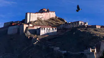 Tibet Özerk Bölgesi'nde 7 Büyüklüğünde Deprem Meydana Geldi