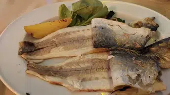 Palamuttaki Siyah Etin Faydaları Hakkında Bilmeniz Gerekenler Neler?