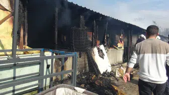 Bir Ahırda Çıkan Yangın Sonucu Çok Sayıda Hayvan Telef Oldu
