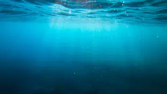 Dünyanın en ıssız noktası: Nokta Nemo’nun okyanusun ortasındaki gizemli dünyası