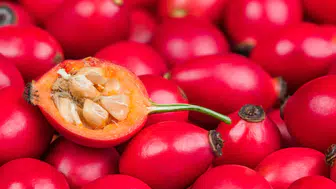 Acerola Nedir ve Neden Bu Kadar Önemli? C Vitamini İçeriği ile Dikkat Çekiyor