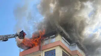 Antalya'daki yangında yaralı olarak kurtarılan kedi Luna, ailesine kavuştu