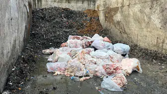Sakarya Serdivan'da Dana Sucuğunda Domuz Eti Tespiti