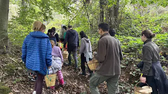 Belgrad Ormanı'nda Mantar Avı Sezonu Açıldı