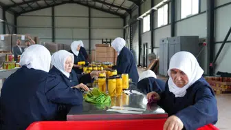 Bursa'da kadın emeğiyle üretiliyor : Hibiskuslu ve zencefilli turşular sofralara geliyor !