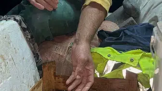 Sinop'ta Balıkçının Ağına Nadir Görülen Mavi Yengeç Takıldı