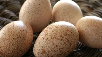 Hindi Yumurtası Neden Daha Az Tüketiliyor ve Besin Değerleri Neler?