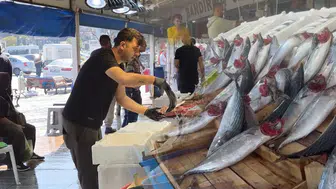 Kapış kapış gidiyor! Fiyatını gören balıkçıya koştu: Tanesi 100 TL’den satılıyor