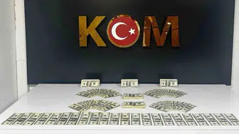 Bodrum'da Sahte Dolar Operasyonu: Bir Kişi Tutuklandı