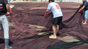 Marmara'da 800 Kilogram Hayalet Ağ Güneş Gözlüğüne Dönüşüyor